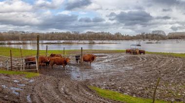 Inundaciones: las recomendaciones del RENATRE para cuidar a los trabajadores rurales
