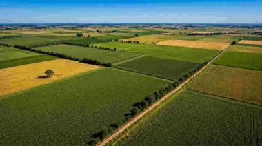 Tierras rurales: qué ordenó la Justicia tras el pedido de la Defensoría bonaerense