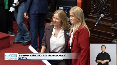 Una docente juró en lugar de Montenegro en el Senado bonaerense: sus dos promesas