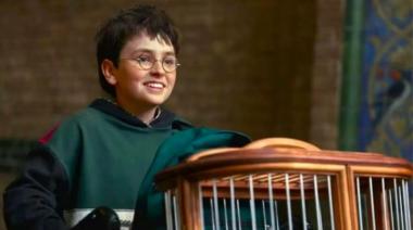 Lo escondieron y se filtró: cuánto costó la primera temporada de Harry Potter
