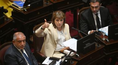 Ley de Salud Mental: qué cambios busca aprobar Patricia Bullrich en el Senado