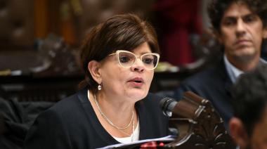 Firmó para voltear el DNU 70 de Milei en Diputados y faltó: quién es María Inés Zigarán