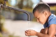 ¿Qué es, cómo se previene y cuáles son los síntomas de la fiebre tifoidea?