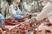 Carne: en marzo, los mostradores perdieron contra la inflación
