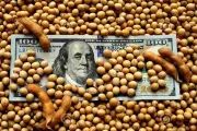La BCR proyectó un salto histórico en el ingreso de dólares del agro, a partir de tres cambios clave