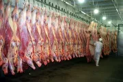 Los frigoríficos exportadores alertaron por despidos y reducción de horas en su personal