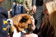 Karina Milei encabezó un homenaje a los Perros de Guerra de Malvinas