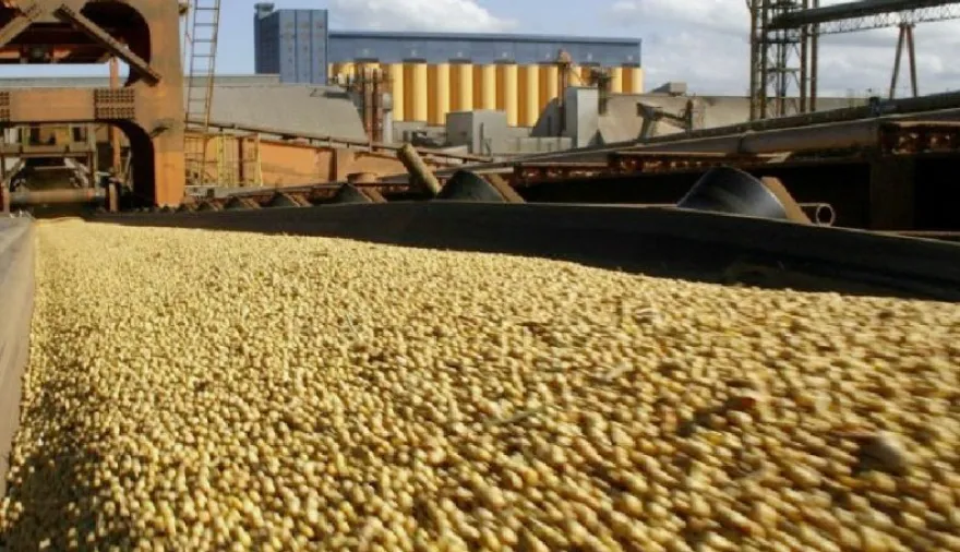 Soja a full en Rosario: récord de ventas y precios que buscan punto de equilibrio