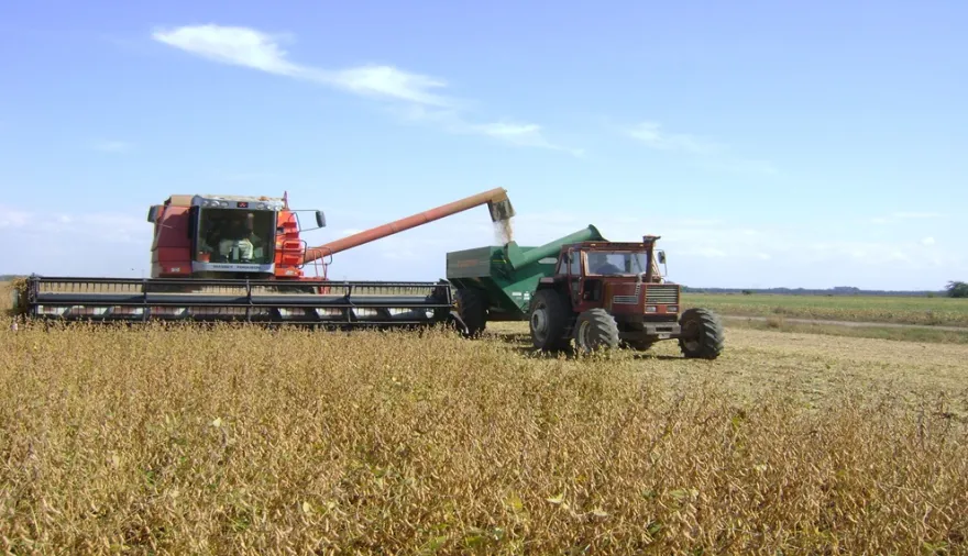 Retenciones: el campo celebró la prórroga en trigo y cebada, pero reclamó la quita en soja