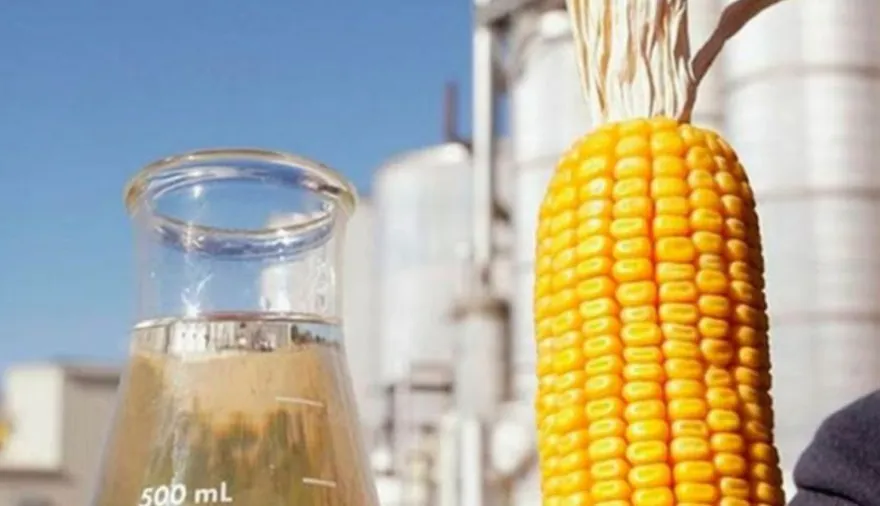 Maíz, energía y dólares: cómo es el biocombustible que Argentina aún no aprovecha