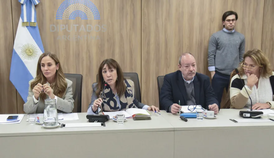 Diputados analizan proyectos sobre salud mental en infancias y adolescencias