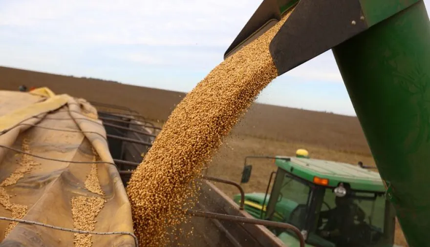 La baja temporal en retenciones de soja impulsó la molienda y exportación de harina y aceite