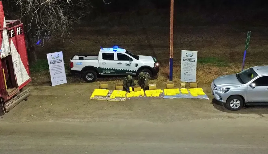 Golpe al narcotráfico: interceptan un camión que llevaba más de 170 kilos de cocaína