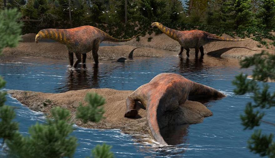 Patagonia: el fascinante hallazgo del dinosaurio que estaba arrodillado