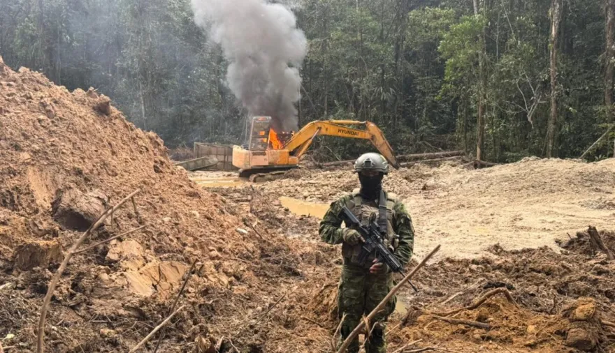 Pará: de la fiebre del oro a la COP30, ¿qué futuro nos espera?