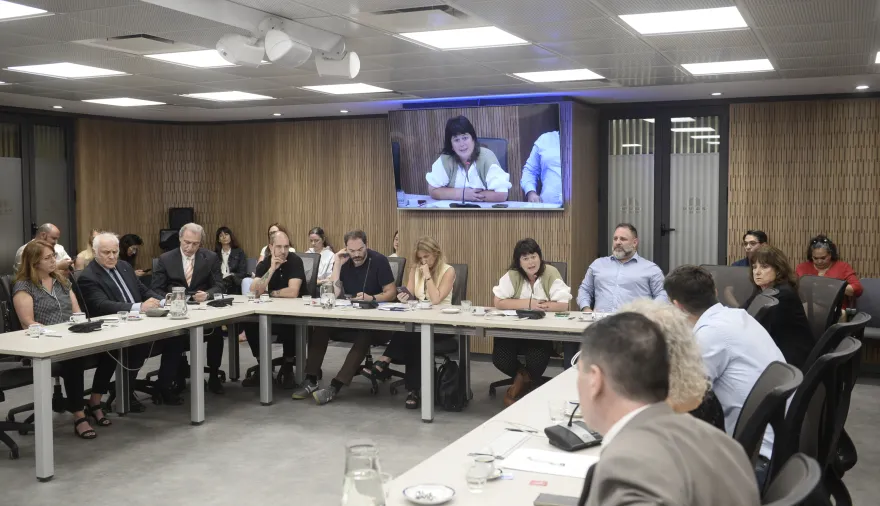 El debate sobre cannabis medicinal que podría cambiar la salud en Argentina