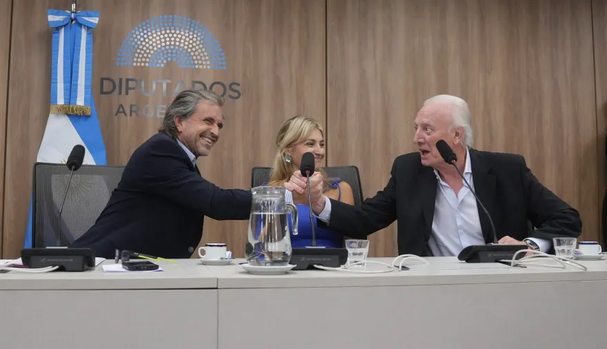 Oficialismo refuerza su poder en Diputados: cómo usarán Legislación Penal y Presupuesto