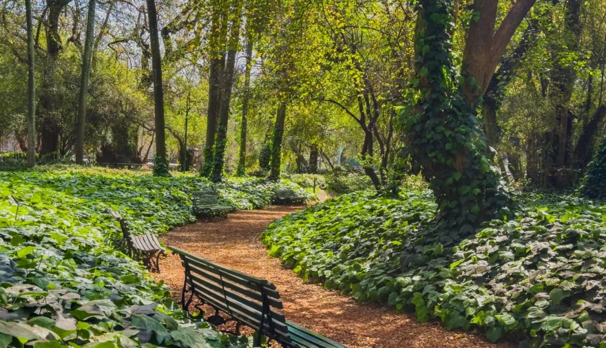 Cómo funcionan los refugios climáticos para protegerse de las altas temperaturas