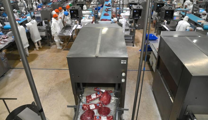 Mejores precios y nuevos mercados, las razones que explican el boom exportador de carne vacuna