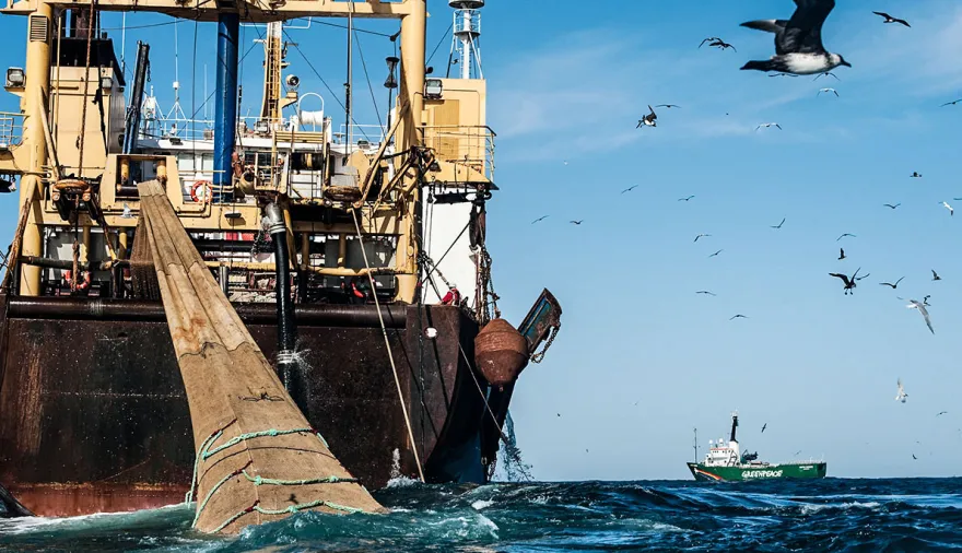 Río Negro y pesca ilegal: el pedido urgente de un diputado de Milei al Congreso