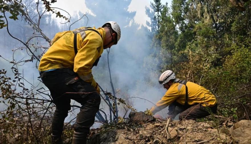 Incendios en Chubut: Buenos Aires envió brigadistas y advierten que el fuego es "cada vez más violento"