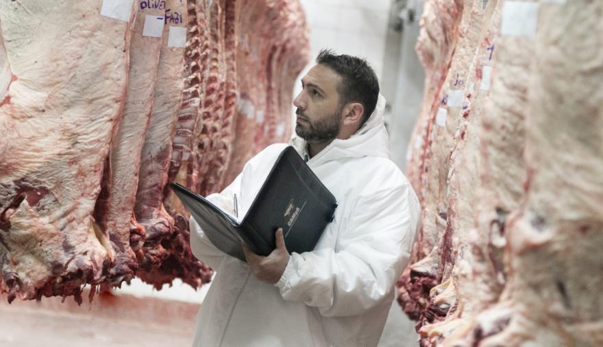 La faena vacuna cayó 11,8% en enero y marcó uno de los peores registros en los últimos 50 años