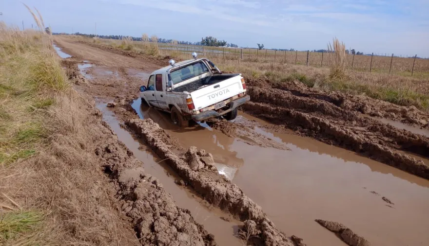 Cómo el campo frenó abusos en la tasa vial: las dos estrategias legales en PBA