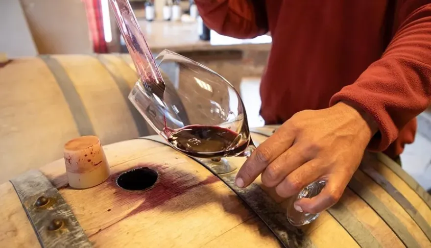 Noche de Bodegas llega a Centenario para celebrar el vino argentino