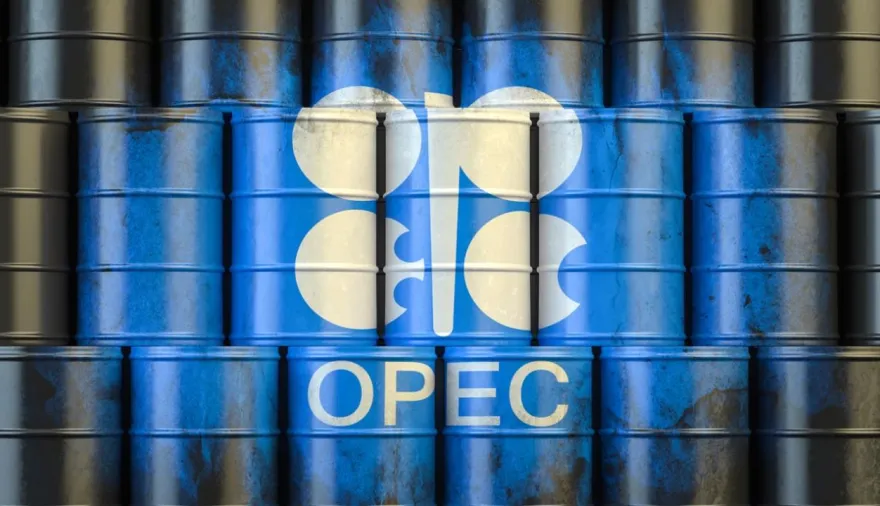 La OPEP pierde peso y Argentina abre una ventana para exportar más