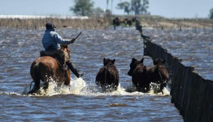 Inundaciones en Santa Fe: Pullaro anunció créditos por $17.960 millones