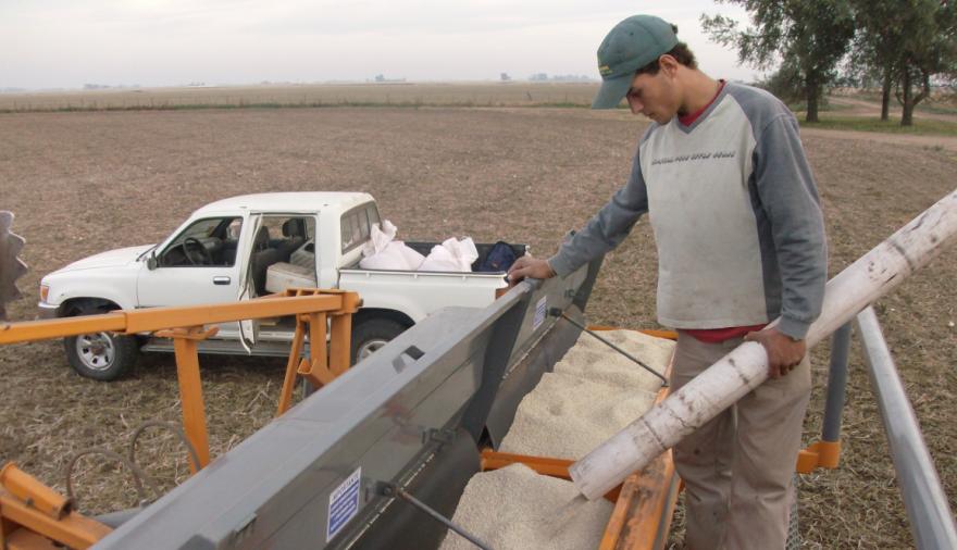 Guerra en Medio Oriente: cómo repercutió en los precios de urea y el gasoil
