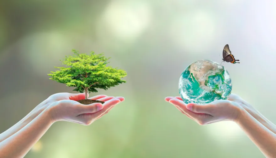 Sin biodiversidad, sube el precio de la comida y se complica el agua potable