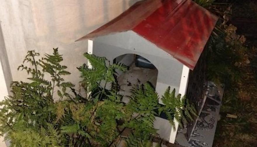 Escapó de la Policía, cruzó al Conurbano y terminó escondido en la cucha de un perro