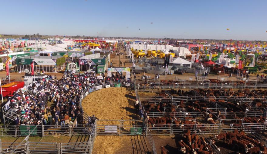 Las razas ganaderas mostrarán todo su potencial en AgroActiva