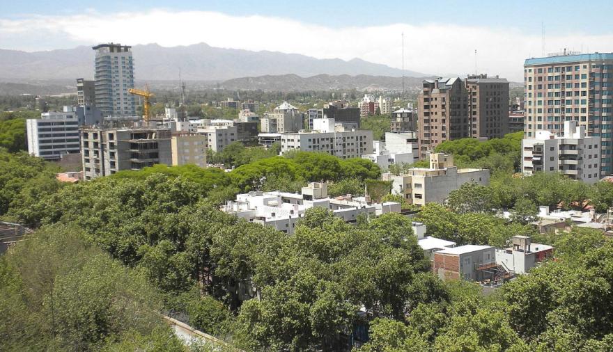 Día del Árbol: por qué son una herramienta clave para bajar la temperatura en las ciudades
