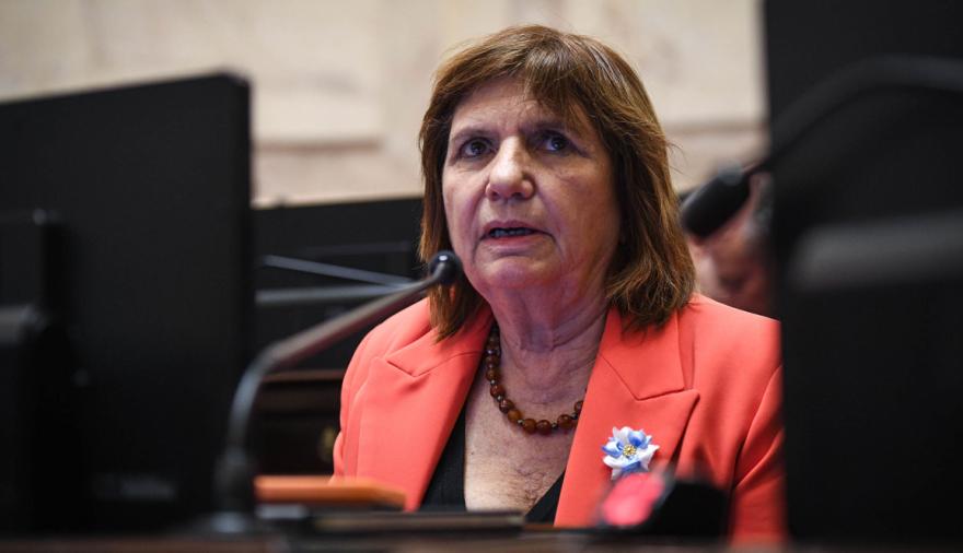 Ley de Tierras: la jugada de Bullrich que hizo caer la sesión en el Senado