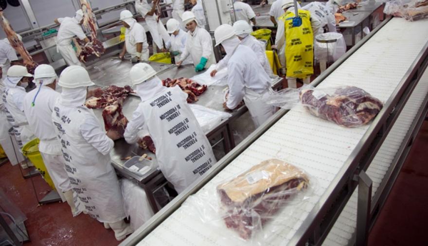 Carne, trigo y girasol impulsaron un salto de 17,3% en las exportaciones