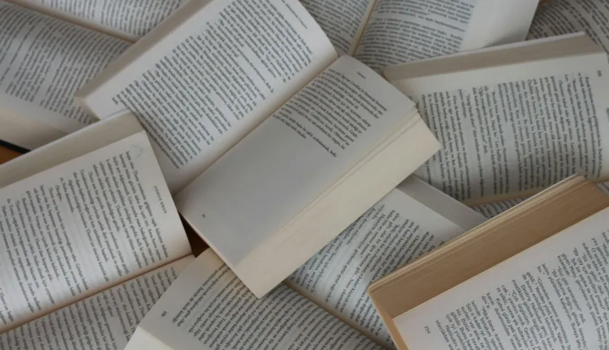 El Caribe colombiano en la literatura contemporánea
