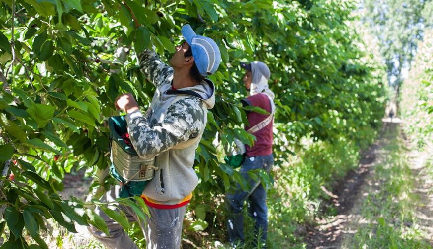 UATRE pidió prorrogar el régimen que permite trabajar y mantener planes sociales