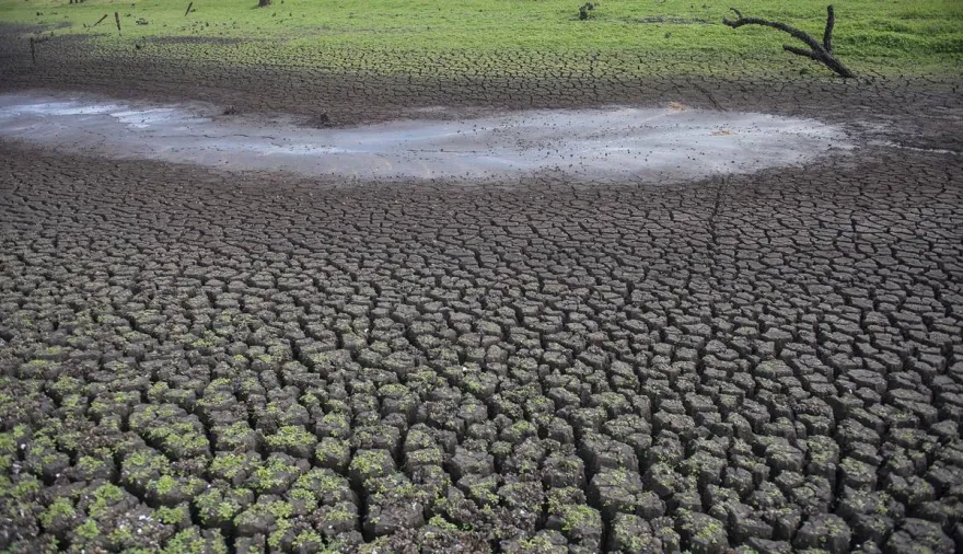 Uruguay mide la brecha entre preocupación climática y acción colectiva