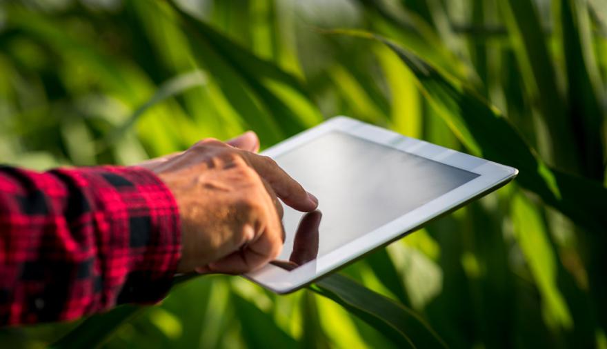 Apuntes sobre la actividad agropecuaria en la era de la información inteligente