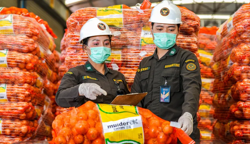 Uruguay abre en Indonesia una nueva salida para cítricos, soja y trigo