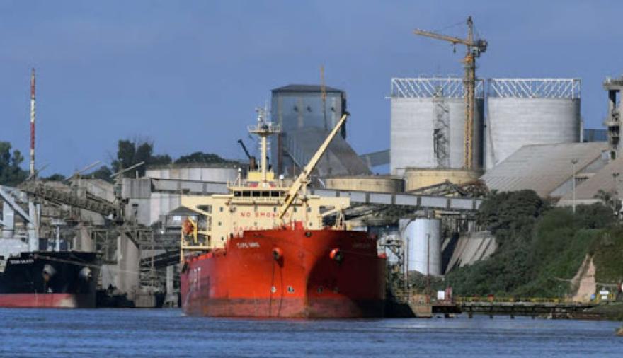 El agro ya superó su récord de 2021: qué cultivos explican el salto exportador