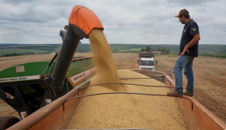 Con récord de granos y más exportaciones, Brasil define su futuro político