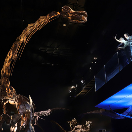 El dinosaurio más grande del mundo se exhibe por primera vez en un museo de la Patagonia