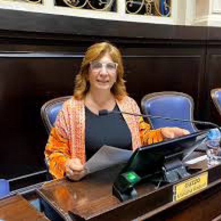 Es verdad aunque usted no lo crea: diputada de Unión por la Patria presentó un proyecto para declarar al inodoro como “un lugar para la paz”