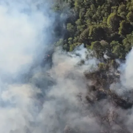 Más de 2 mil hectáreas afectadas por el fuego en el Parque Nacional Nahuel Huapi