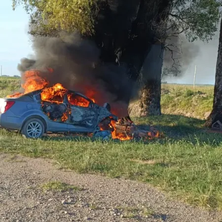 Córdoba: mató a su pareja y luego se quitó la vida chocando el auto contra un árbol