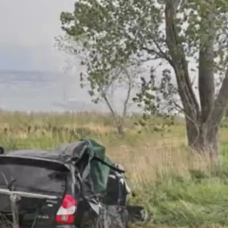 Ruta 11: un auto impactó contra un árbol y por el golpe murieron una mujer y dos niñas