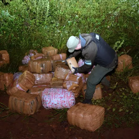 Se decomisó más de una tonelada de droga a orillas Río Paraná
